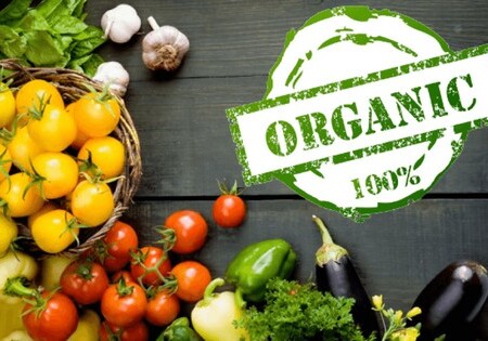 Без химии и пестицидов: в Баку открылся фестиваль Organic Food
