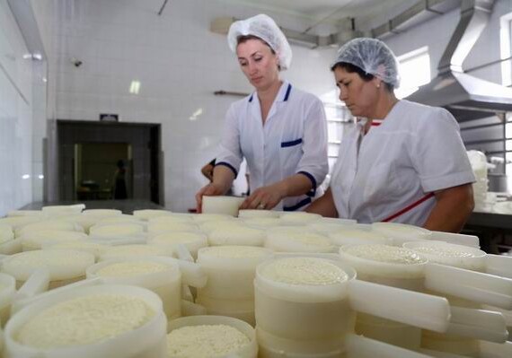 Молочный завод Адыгеи начинает поставки сыра в Азербайджан