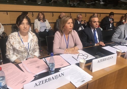 Делегация Азербайджана принимает участие в работе сессии ПА ОБСЕ