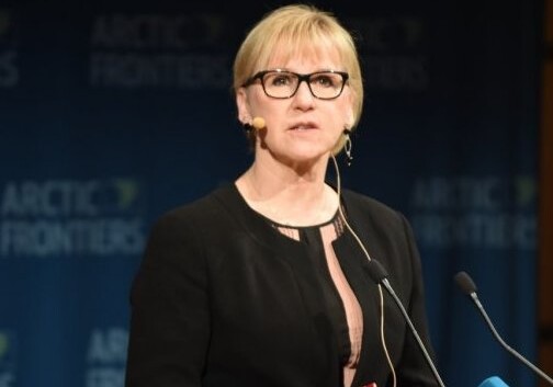 Глава МИД Швеции: «Стокгольм не признает «геноцид армян»