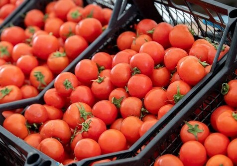 В Россию не пустили более 100 т клубники, черешни и томатов из Азербайджана