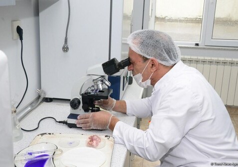 Санитарная экспертиза мяса в лабораториях АПБА будет бесплатна в дни Гурбан байрамы