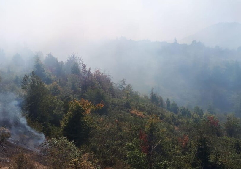 В Гирканском национальном парке начался пожар