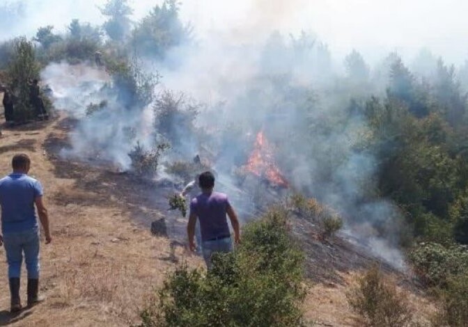 Пожар в Гирканском национальном парке полностью потушен (Видео)