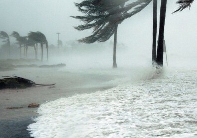 В четырех штатах США объявлена эвакуация из-за урагана «Дориан» (Видео)