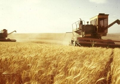 Революция в сельском хозяйстве