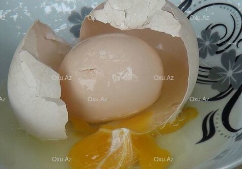 В Азербайджане курица снесла яйцо-«матрешку» (Фото)