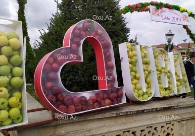 Праздник яблок в Губе (Фото)