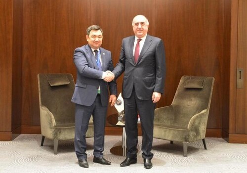 Глава МИД Азербайджана встретился с президентом Тюркской академии (Фото)
