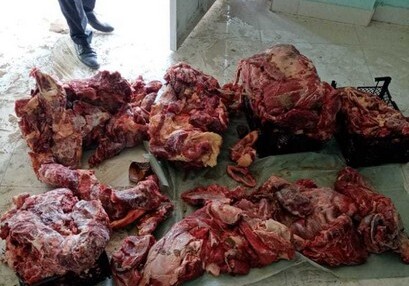 Житель Барды намеревался продать 255 килограммов мертвечины (Фото)
