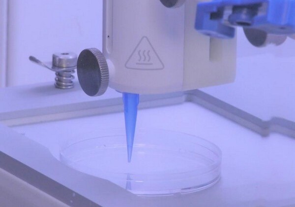 На 3D-принтере впервые напечатали кожу с сосудами