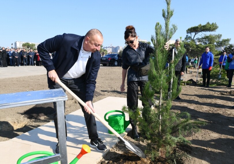 Президент Ильхам Алиев и Мехрибан Алиева приняли участие в акции по посадке деревьев в Хатаинском районе Баку (Фото) 