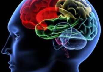 В головном мозге человека нашли «рецептор плохого настроения»