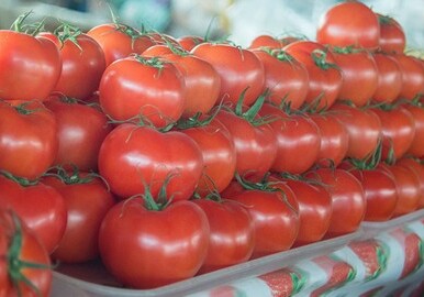 На фоне спада в сельском хозяйстве Армения увеличила импорт помидоров из Турции