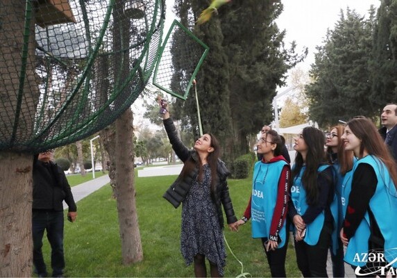 Проект İDEA «Городская экология»: в бакинский парк выпущены попугаи (Фото)
