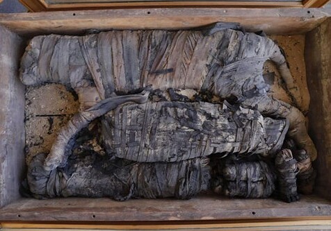 В Египте обнаружена гробница с мумиями львов и леопардов (Фото)