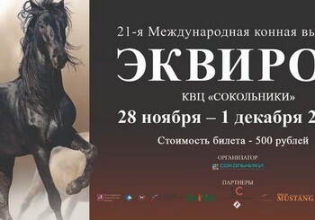 Карабахских коней покажут на Международной выставке в Москве