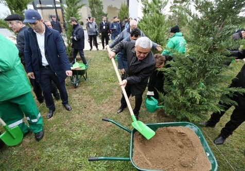 Азербайджанские нефтяники посадят 100 тыс. деревьев за один день (Фото)