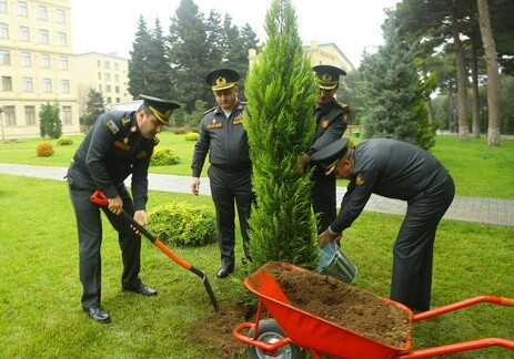 Экологическая акция: азербайджанские военные посадили 70 тысяч деревьев (Фото)