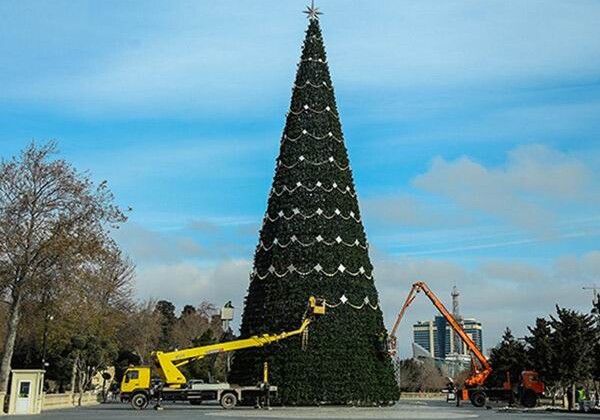 Самая высокая новогодняя елка в Баку будет установлена на площади Азнефть