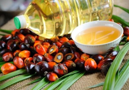 Опасно ли пальмовое масло? – Комментарий АПБА