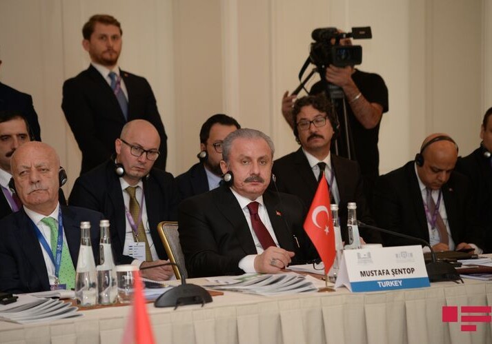 Председатель ВНСТ попросил поддержки у тюркоязычных стран в борьбе с FETО