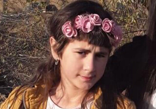 Возбуждено уголовное дело по факту убийства в Товузе 10-летней девочки (Видео)