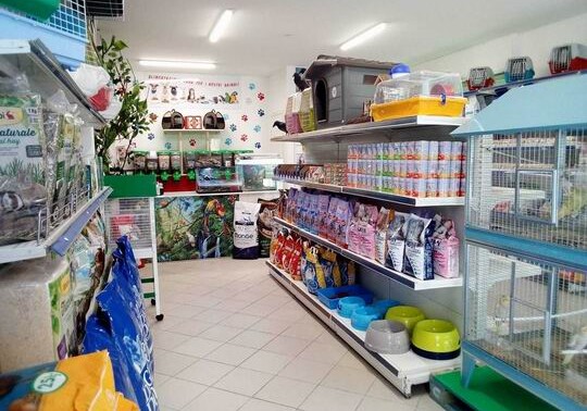 В Баку совершено нападение на зоомаркет: владелец ранен
