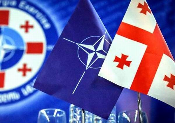 Турция - за вступление Грузии в НАТО 