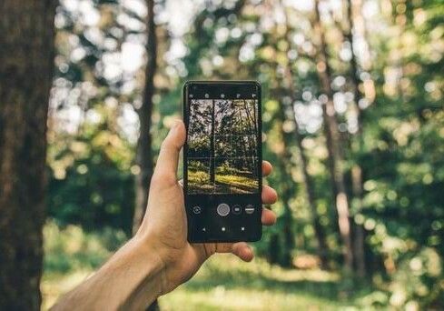 В Азербайджане со смартфонов можно будет наблюдать за ситуацией в лесах