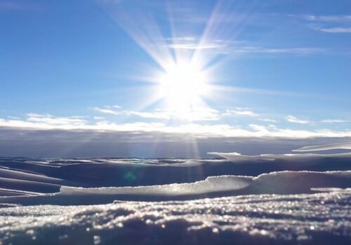 Температурный рекорд: воздух в Антарктике впервые прогрелся до +20 градусов