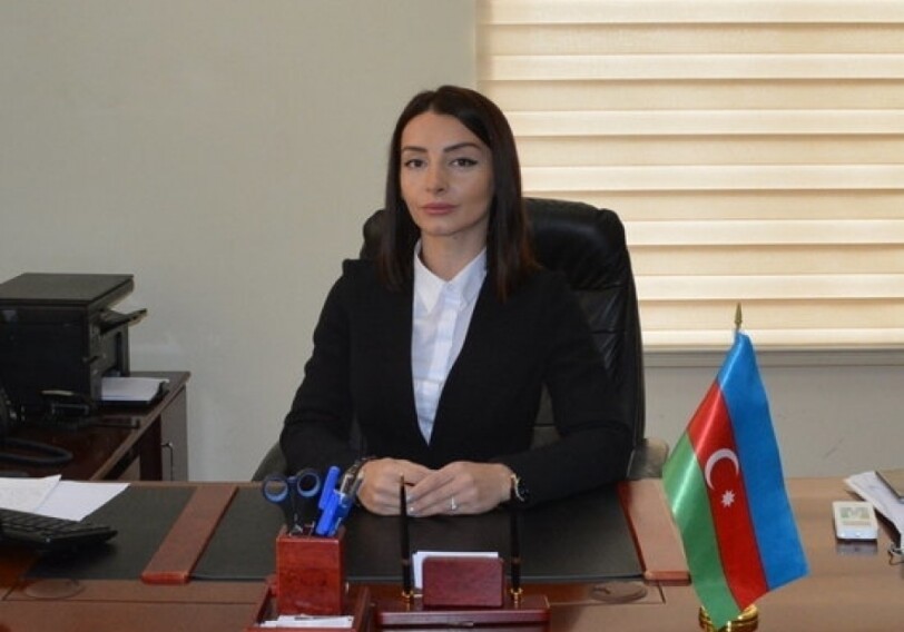 МИД Азербайджана: Вся ответственность за кровавую провокацию, способствующую эскалации напряженности, ложится на Армению