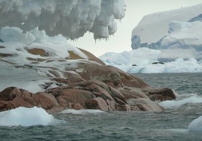 В Антарктиде из-за таяния льдов появился новый остров
