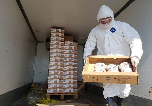 В Азербайджане уничтожено около 317 кг непригодной в пищу замороженной утятины (Фото)