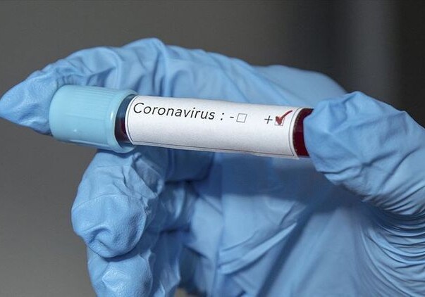 Инфекционист: «Вирусы легко уничтожаются дезинфицирующими растворами»