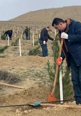 В Азербайджане продолжается масштабная весенняя акция по посадке деревьев (Фото)