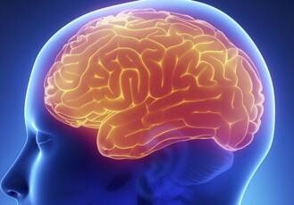 Ученые нашли в мозге «зоны страха»