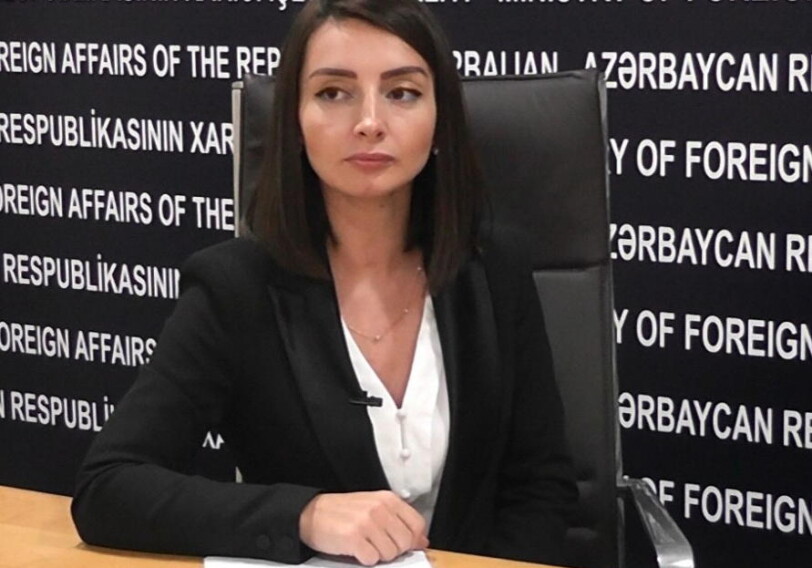 Лейла Абдуллаева: «Азербайджанское государство мобилизовало все возможности для обеспечения безопасности своих граждан»