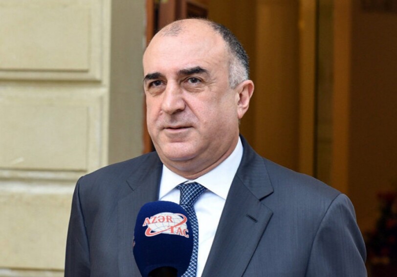 Э.Мамедъяров: «МИД, дипломатические представительства продолжают свою деятельность в особом режиме»