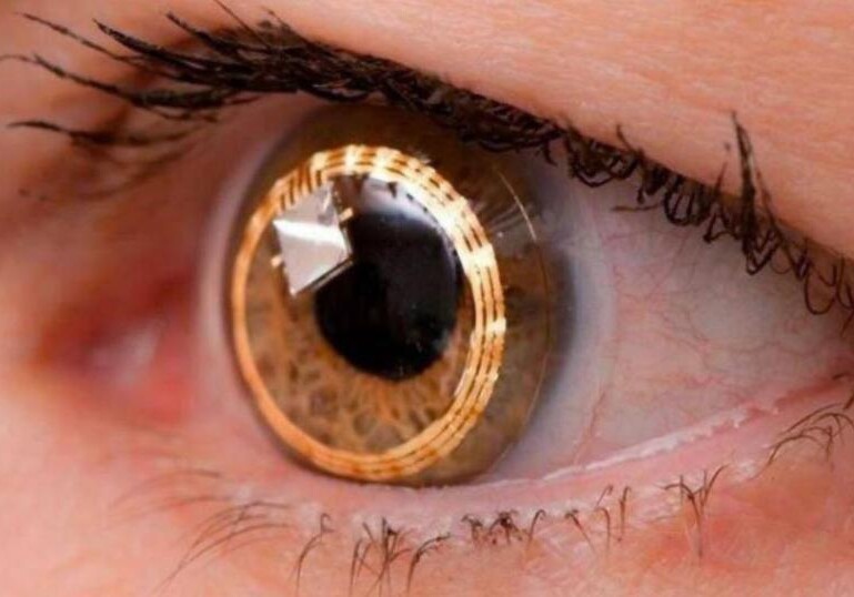 Ученые научились создавать клетки сетчатки глаза для лечения слепоты