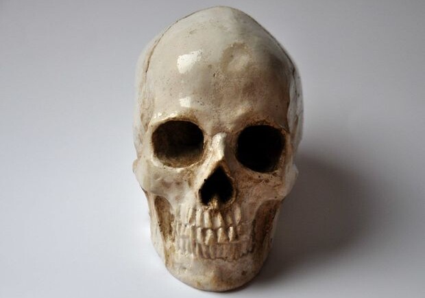В Баку найден человеческий череп