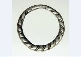 Редкое 1000-летнее кольцо викингов найдено в Нидерландах