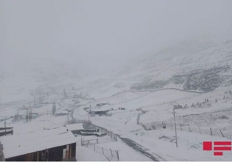 В населенных пунктах на севере Азербайджана выпал снег (Фото)