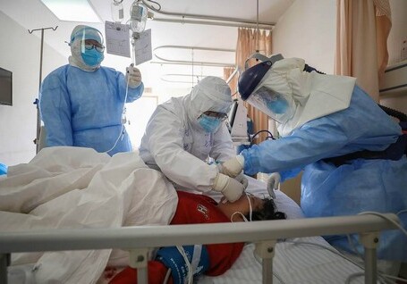В России за сутки выявлено 3448 заразившихся коронавирусом