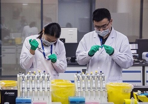 МИД Китая опроверг версию об искусственном происхождении коронавируса