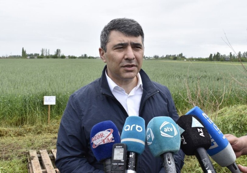 Инам Керимов: «В поставках продовольствия в Азербайджане никаких проблем нет»