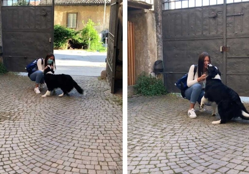 Трогательное видео дня: как в Италии пес встречает любимую хозяйку спустя 56 дней карантина