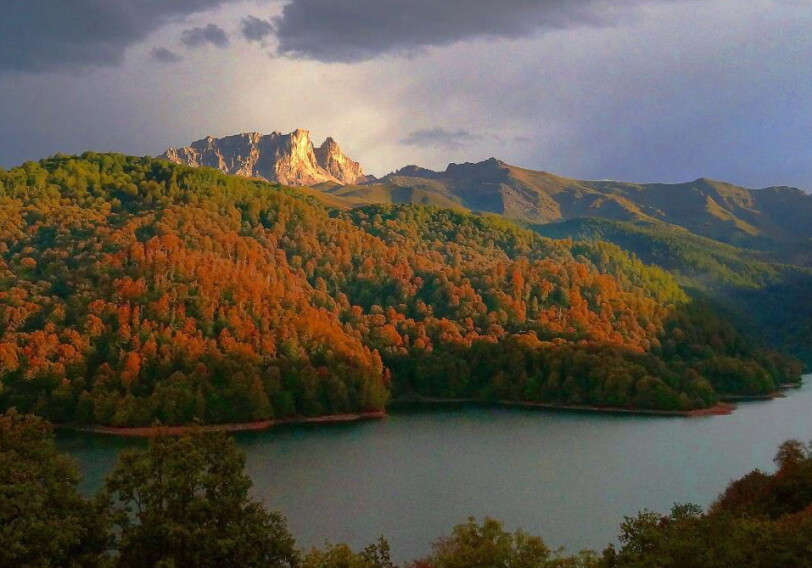 Когда национальные парки и заповедники в Азербайджане могут возобновить свою деятельность?
