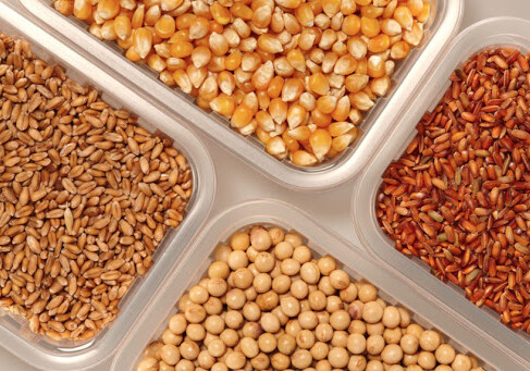 Кабмин Азербайджана выделил 5 млн манатов на поставку семян для поддержки производителей