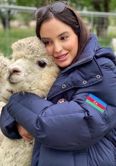 Лейла Алиева посетила ферму по разведению альпака (Фото-Видео)